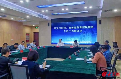 泰安市租賃、商務(wù)服務(wù)和居民服務(wù)專班工作推進會召開 聚焦軟件開發(fā)與應(yīng)用